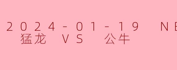 2024-01-19 NBA常规赛 猛龙 VS 公牛